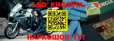 apvp Свободный