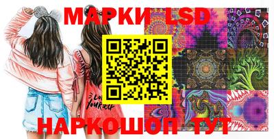 apvp Свободный