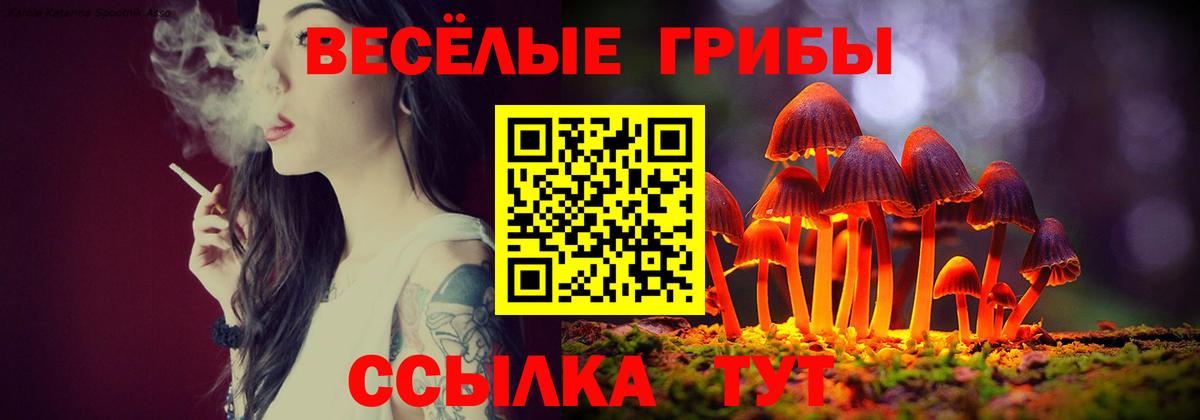 Шахты  Галлюциногенные грибы мицелий  Псилоцибиновые грибы мицелий  Вход с VPN 